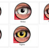 CRAZY LENS ESCLERALES 17MM Y 22MM Neutras - Imagen 2